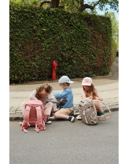 Шкільний рюкзак Clover Leo 2