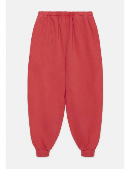 Cute Dog Red Pants 2