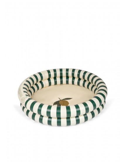 Basic 2 Ring Pool Small Green Stripe