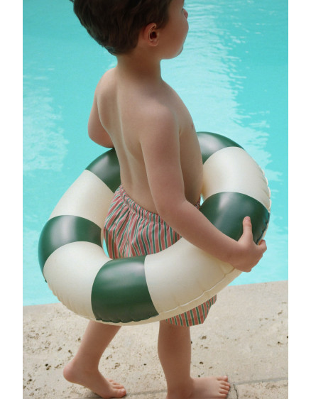Junior Swim Ring Green Stripe 5