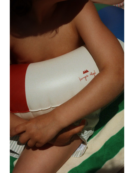 Junior Swim Ring Green Stripe 4