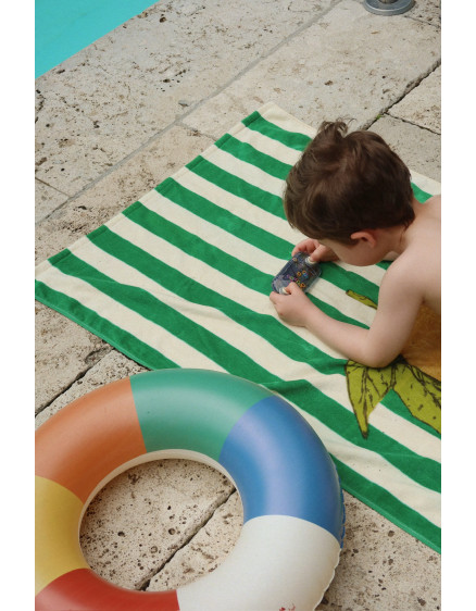 Junior Swim Ring Multi 4