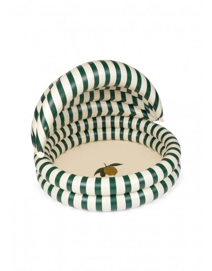 Pool With Canopy Green Stripe