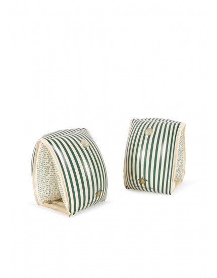 Water Wings Basic Green Stripe