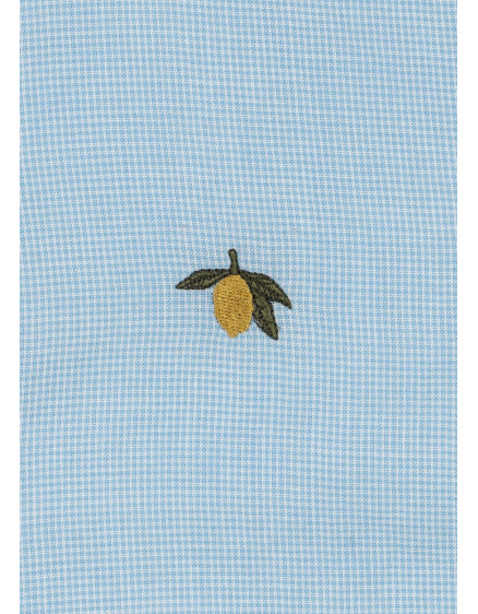 Fran Shirt Blue Check 2