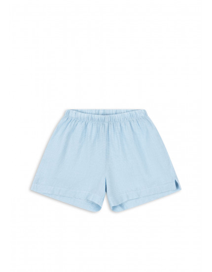 Fran Shorts Blue Check