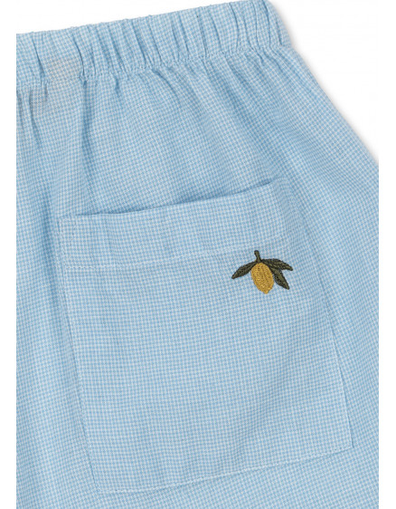 Fran Shorts Blue Check 3
