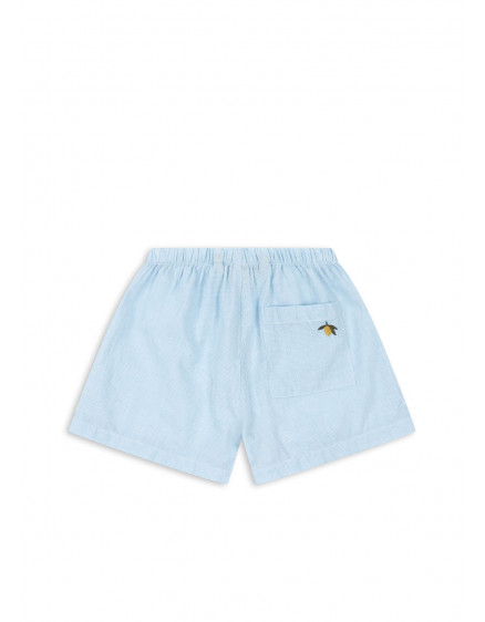 Fran Shorts Blue Check 4