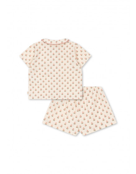 Pio Set Carta Fiori 6