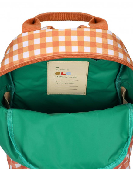 Рюкзак Small Gingham Canyon 3